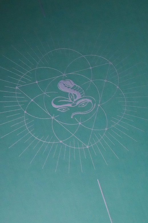 Jivamukti Travel Mat Mix Case (6pcs)