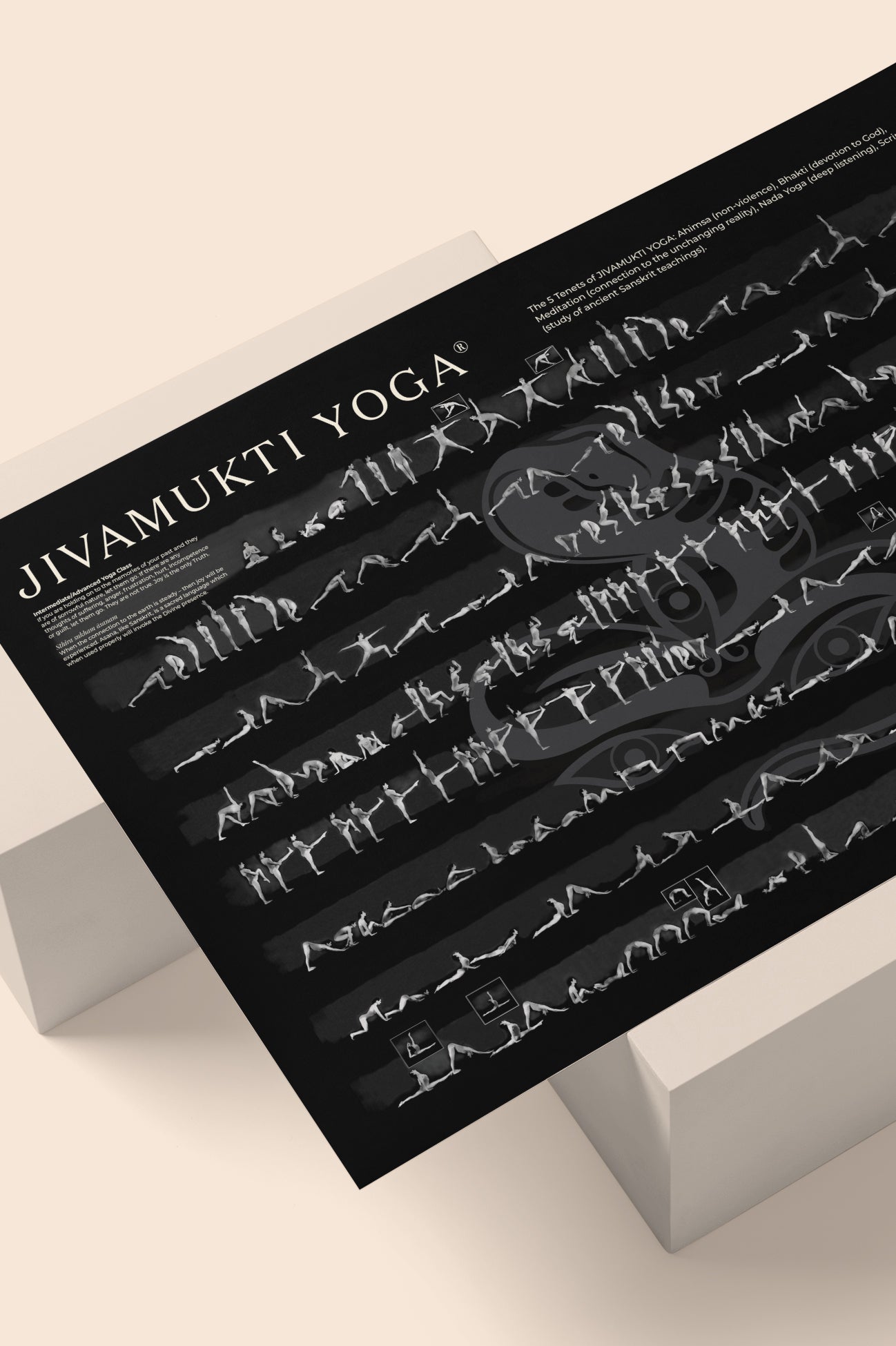 Sharon Gannon Asana Poster