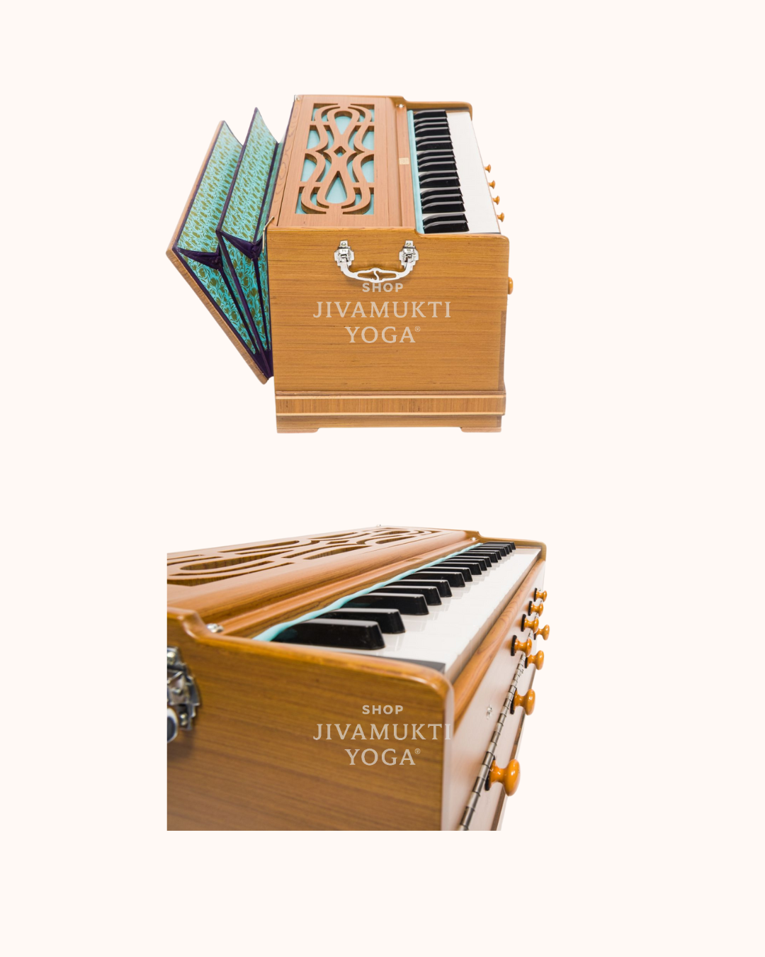 Paloma Premium Recon