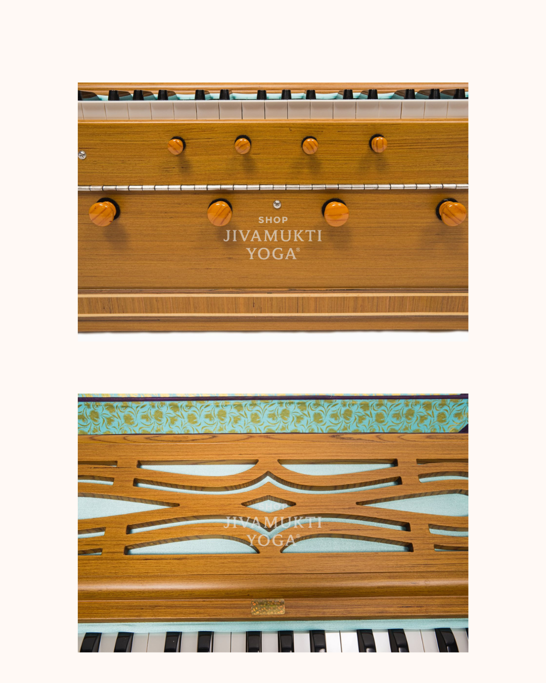 Paloma Premium Recon