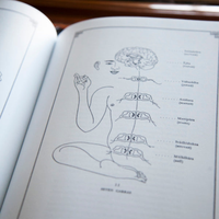 Fundamentals of Yoga