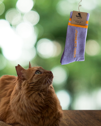 Jivamukti Socks Lilac/Orange - Wholesale Bundle of 10 pairs (5 x M, 5 x L)*