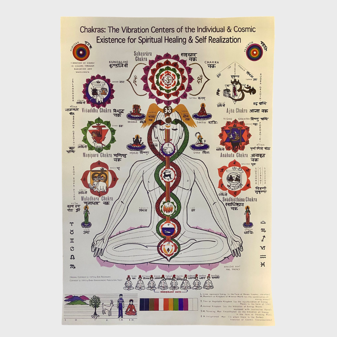 Chakra Poster