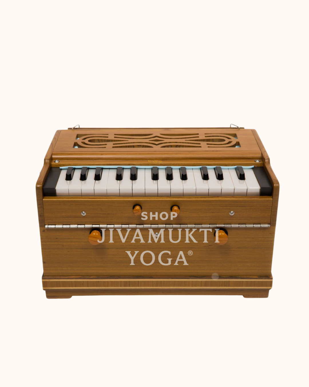 Paloma Companion Recon