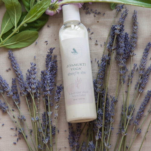 Aloe Lavender Lotion Wholesale Case (25pcs)