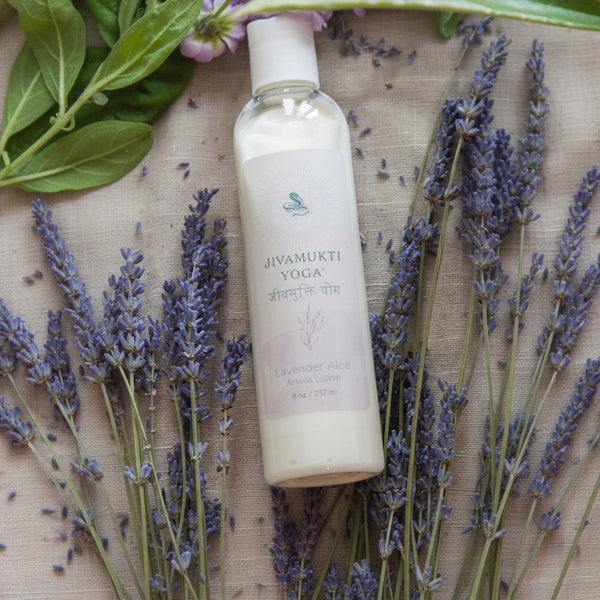 Aloe Lavender Lotion Wholesale Case (25pcs)